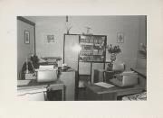 commercio (Positivo)