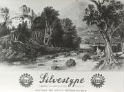 paesaggio (Positivo)