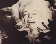 Marilyn Monroe (Positivo) di Schumann, Sarah