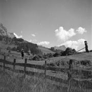 paesaggio (Positivo) di Groth-Schmachtenberger, Erika (1954/01/01 - 1954/12/31)