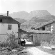 persone (Positivo) di Groth-Schmachtenberger, Erika (1954/01/01 - 1954/12/31)