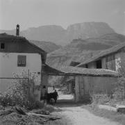 persone (Positivo) di Groth-Schmachtenberger, Erika (1954/01/01 - 1954/12/31)