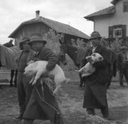 persone (Positivo) di Groth-Schmachtenberger, Erika (1934/01/01 - 1934/12/31)