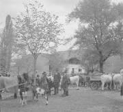 persone (Positivo) di Groth-Schmachtenberger, Erika (1934/01/01 - 1934/12/31)