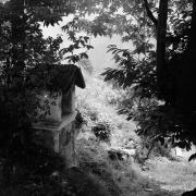 paesaggio (Positivo) di Groth-Schmachtenberger, Erika