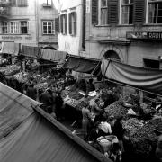 persone (Positivo) di Groth-Schmachtenberger, Erika (1951/01/01 - 1951/12/31)