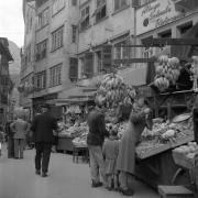 persone (Positivo) di Groth-Schmachtenberger, Erika (1951/01/01 - 1951/12/31)