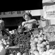 persone (Positivo) di Groth-Schmachtenberger, Erika (1951/01/01 - 1951/12/31)