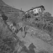 paesaggio (Positivo) di Groth-Schmachtenberger, Erika (1956/01/01 - 1956/12/31)