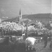 paesaggio (Positivo) di Groth-Schmachtenberger, Erika (1956/01/01 - 1956/12/31)