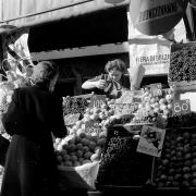 persone (Positivo) di Groth-Schmachtenberger, Erika (1951/01/01 - 1951/12/31)