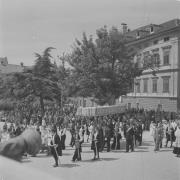 persone (Positivo) di Groth-Schmachtenberger, Erika (1953/01/01 - 1953/12/31)