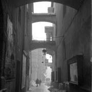 persone (Positivo) di Groth-Schmachtenberger, Erika (1951/01/01 - 1951/12/31)