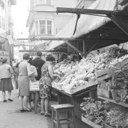 persone (Positivo) di Groth-Schmachtenberger, Erika (1961/01/01 - 1961/12/31)