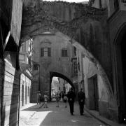 persone (Positivo) di Groth-Schmachtenberger, Erika (1953/01/01 - 1953/12/31)