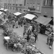 persone (Positivo) di Groth-Schmachtenberger, Erika (1951/01/01 - 1951/12/31)