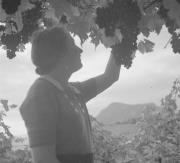 persone (Positivo) di Groth-Schmachtenberger, Erika (1934/01/01 - 1934/12/31)