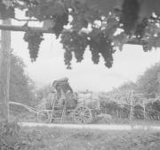 persone (Positivo) di Groth-Schmachtenberger, Erika (1934/01/01 - 1934/12/31)