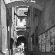 persone (Positivo) di Groth-Schmachtenberger, Erika (1953/01/01 - 1953/12/31)