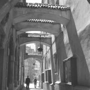 persone (Positivo) di Groth-Schmachtenberger, Erika (1953/01/01 - 1953/12/31)