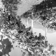 paesaggio (Positivo) di Groth-Schmachtenberger, Erika (1953/01/01 - 1953/12/31)