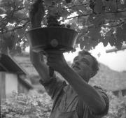 persone (Positivo) di Groth-Schmachtenberger, Erika (1934/01/01 - 1934/12/31)