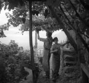 persone (Positivo) di Groth-Schmachtenberger, Erika (1934/01/01 - 1934/12/31)