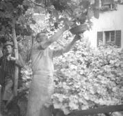 persone (Positivo) di Groth-Schmachtenberger, Erika (1934/01/01 - 1934/12/31)