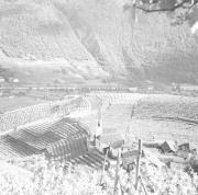 paesaggio (Positivo) di Groth-Schmachtenberger, Erika (1934/01/01 - 1934/12/31)