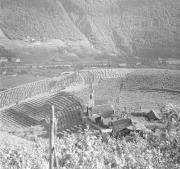 paesaggio (Positivo) di Groth-Schmachtenberger, Erika (1934/01/01 - 1934/12/31)