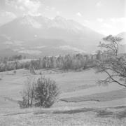 paesaggio (Positivo) di Groth-Schmachtenberger, Erika (1961/01/01 - 1961/12/31)