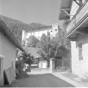 Gaube (Positivo) di Groth-Schmachtenberger, Erika (1954/01/01 - 1954/12/31)