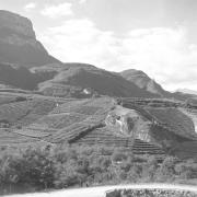 paesaggio (Positivo) di Groth-Schmachtenberger, Erika (1954/01/01 - 1954/12/31)