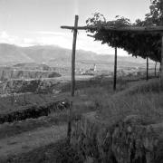 paesaggio (Positivo) di Groth-Schmachtenberger, Erika (1954/01/01 - 1954/12/31)