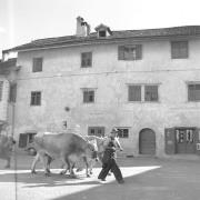 persone (Positivo) di Groth-Schmachtenberger, Erika (1954/01/01 - 1954/12/31)