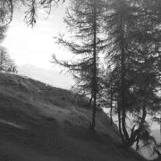 persone (Positivo) di Groth-Schmachtenberger, Erika (1969/01/01 - 1969/12/31)