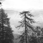 paesaggio (Positivo) di Groth-Schmachtenberger, Erika (1969/01/01 - 1969/12/31)