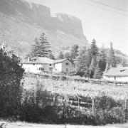 paesaggio (Positivo) di Groth-Schmachtenberger, Erika (1969/01/01 - 1969/12/31)