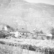 paesaggio (Positivo) di Groth-Schmachtenberger, Erika (1969/01/01 - 1969/12/31)