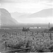 paesaggio (Positivo) di Groth-Schmachtenberger, Erika (1969/01/01 - 1969/12/31)