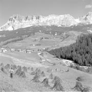 persone (Positivo) di Groth-Schmachtenberger, Erika (1954/01/01 - 1954/12/31)