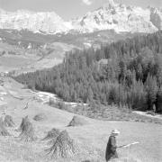 persone (Positivo) di Groth-Schmachtenberger, Erika (1954/01/01 - 1954/12/31)