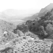 paesaggio (Positivo) di Groth-Schmachtenberger, Erika (1954/01/01 - 1954/12/31)