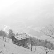 paesaggio (Positivo) di Groth-Schmachtenberger, Erika