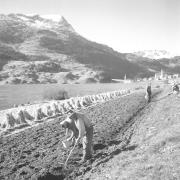 paesaggio (Positivo) di Groth-Schmachtenberger, Erika (1953/01/01 - 1953/12/31)