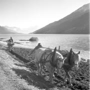 paesaggio (Positivo) di Groth-Schmachtenberger, Erika (1953/01/01 - 1953/12/31)