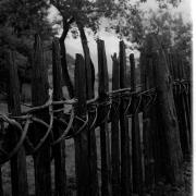 paesaggio (Positivo) di Groth-Schmachtenberger, Erika (1966/01/01 - 1966/12/31)