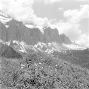 paesaggio (Positivo) di Groth-Schmachtenberger, Erika