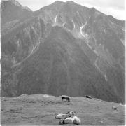 paesaggio (Positivo) di Groth-Schmachtenberger, Erika (1969/01/01 - 1969/12/31)