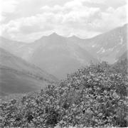 paesaggio (Positivo) di Groth-Schmachtenberger, Erika (1969/01/01 - 1969/12/31)